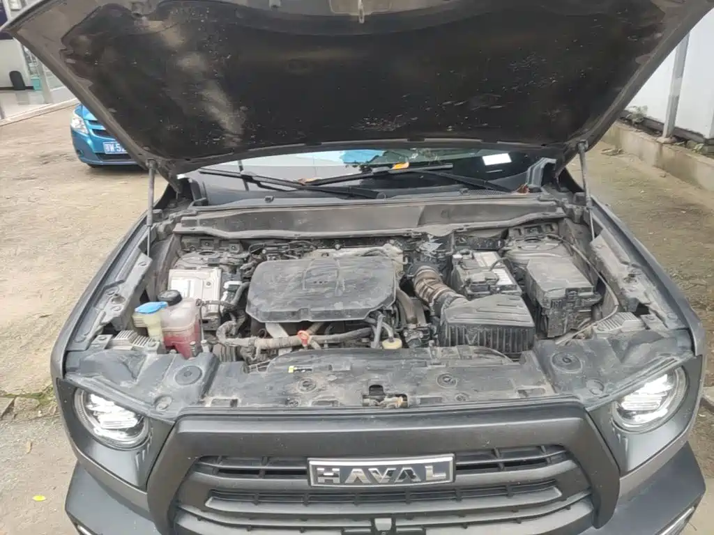 Haval Big Dog — фото 19