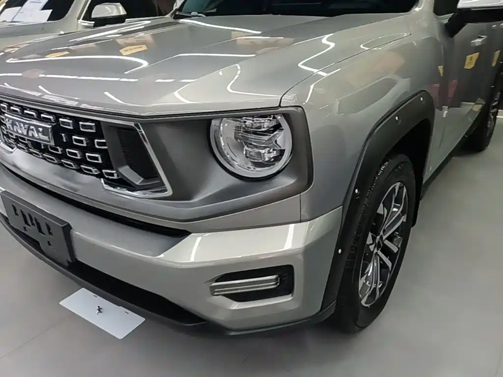 Haval Big Dog PLUS — фото 23