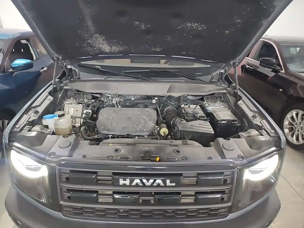 Haval Big Dog — фото 19