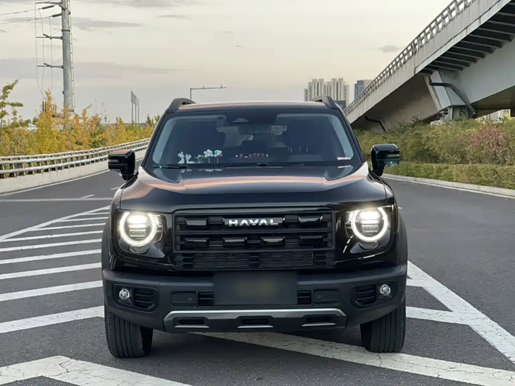Haval Big Dog — фото 24