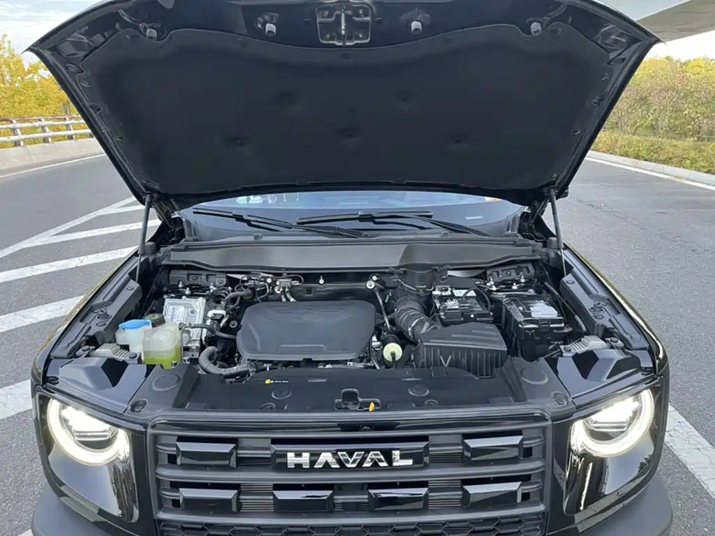 Haval Big Dog — фото 10