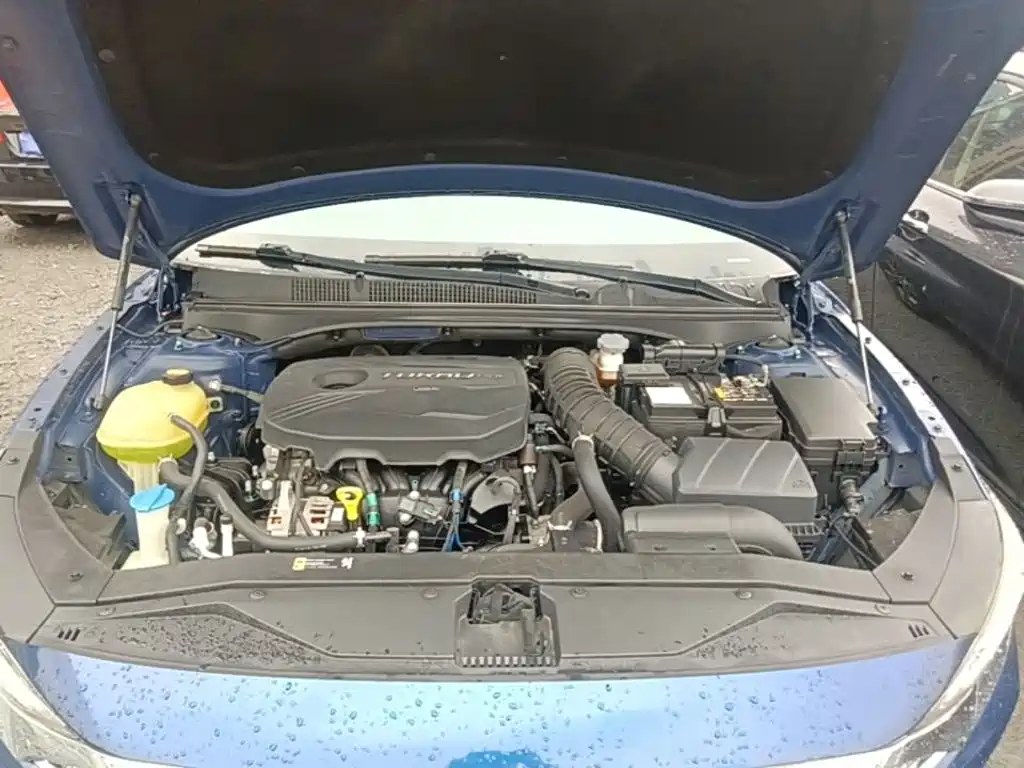 Hyundai Fista — фото 19