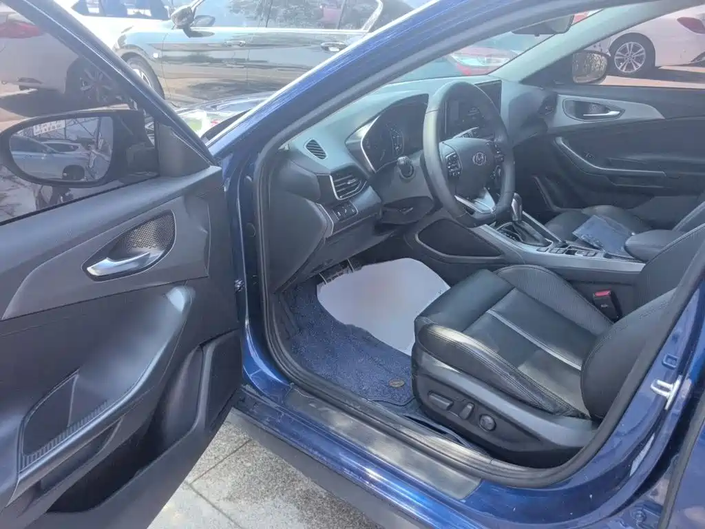 Hyundai Fista — фото 13