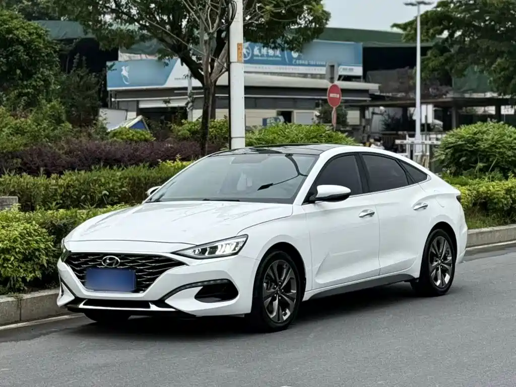 Hyundai Fista — фото 22