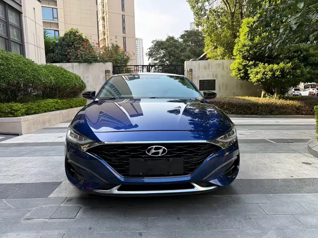 Hyundai Fista — фото 3