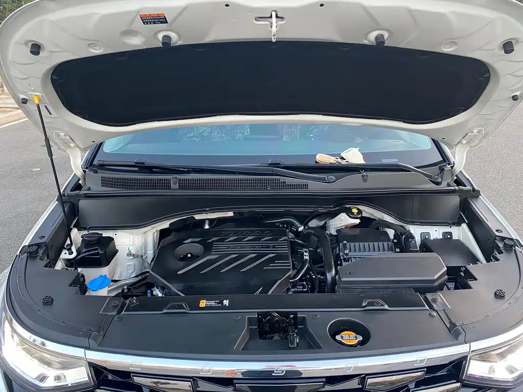 Hyundai Custo — фото 19