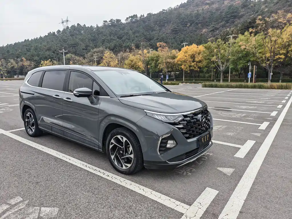 Hyundai Custo — фото 3