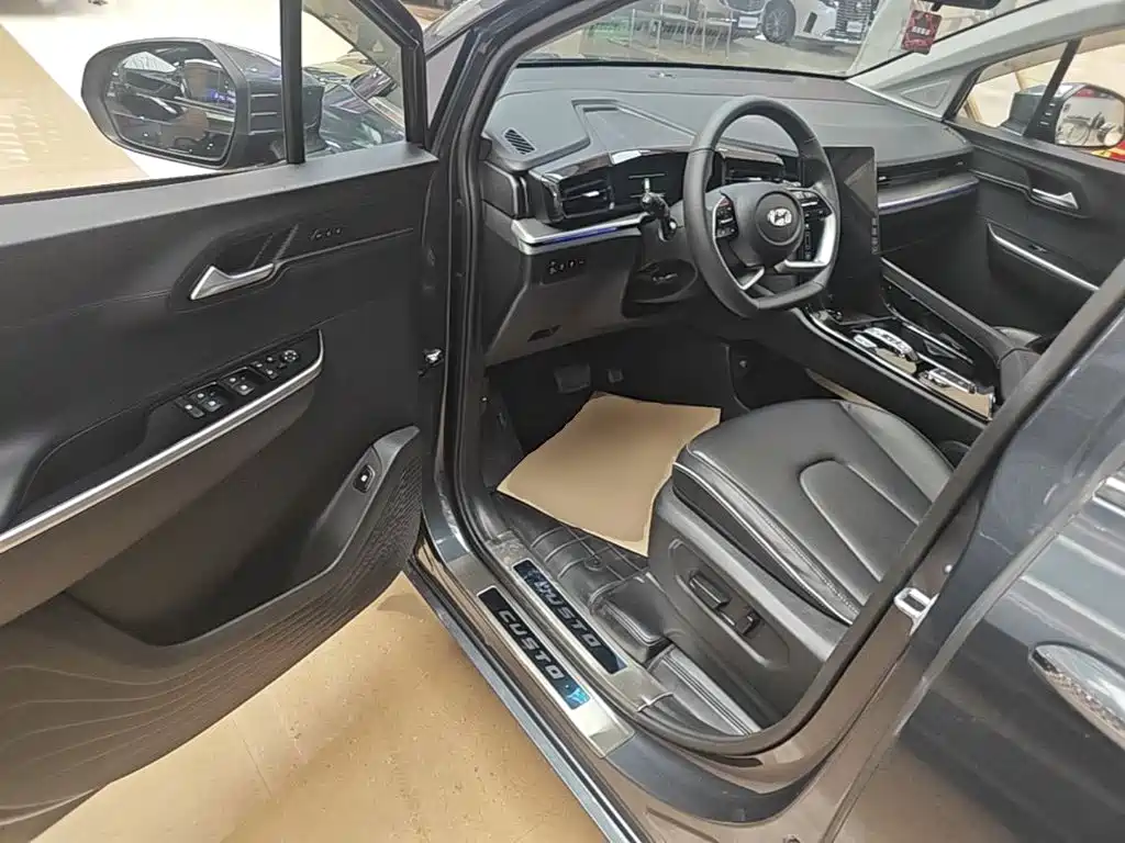 Hyundai Custo — фото 15