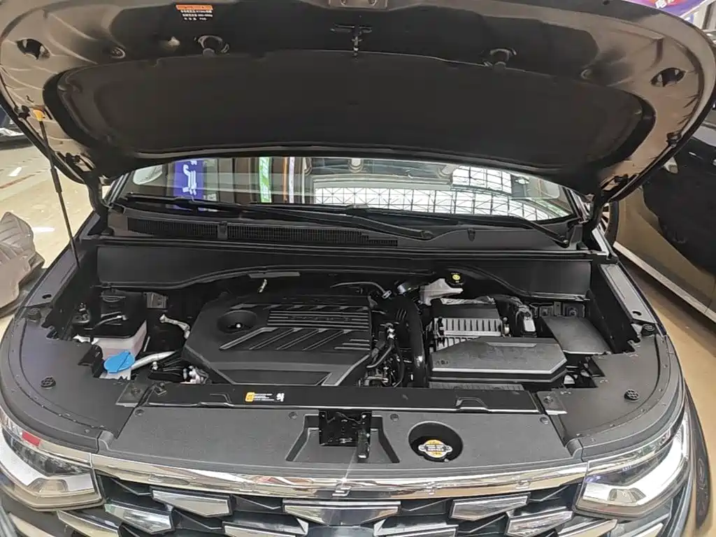 Hyundai Custo — фото 19