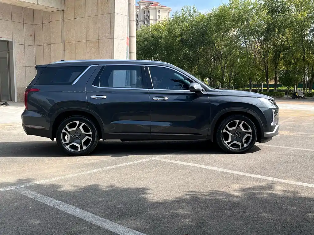 Hyundai Palisade — фото 7