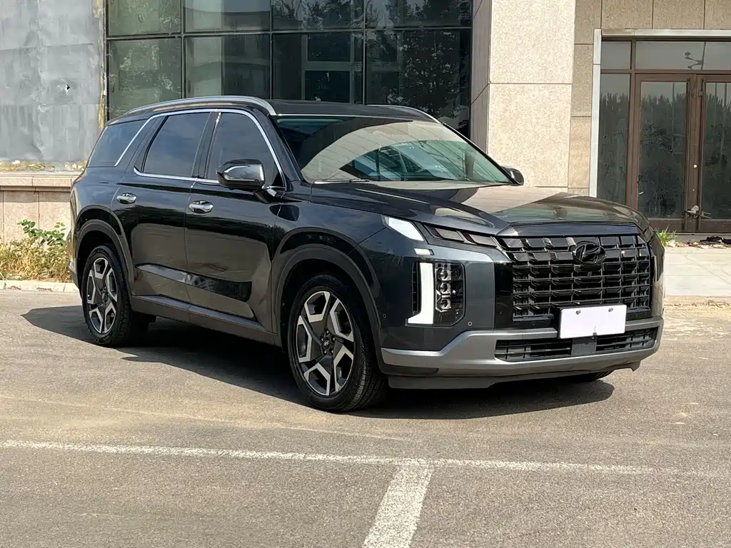 Hyundai Palisade — фото 8