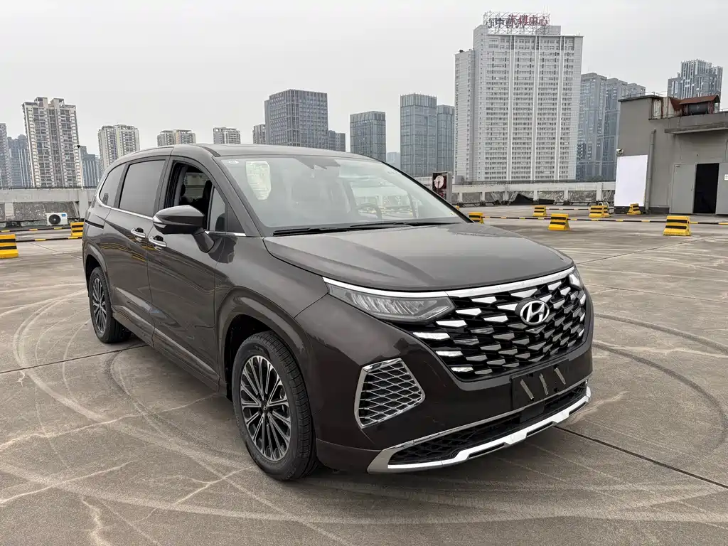 Hyundai Custo — фото 3
