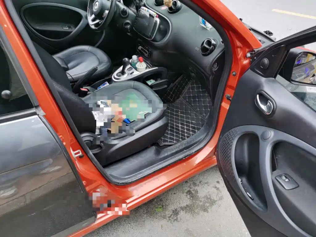 smart Smart Forfour — фото 19