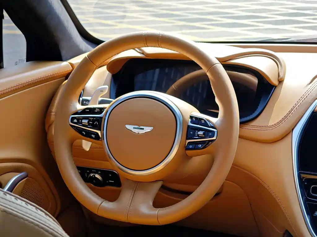 Aston Martin DBX — фото 11