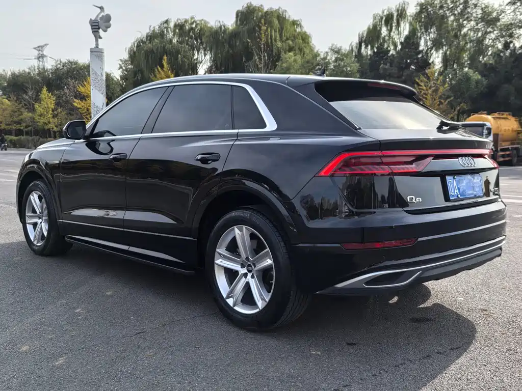 Audi Q8 — фото 13