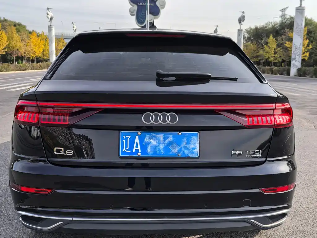 Audi Q8 — фото 14