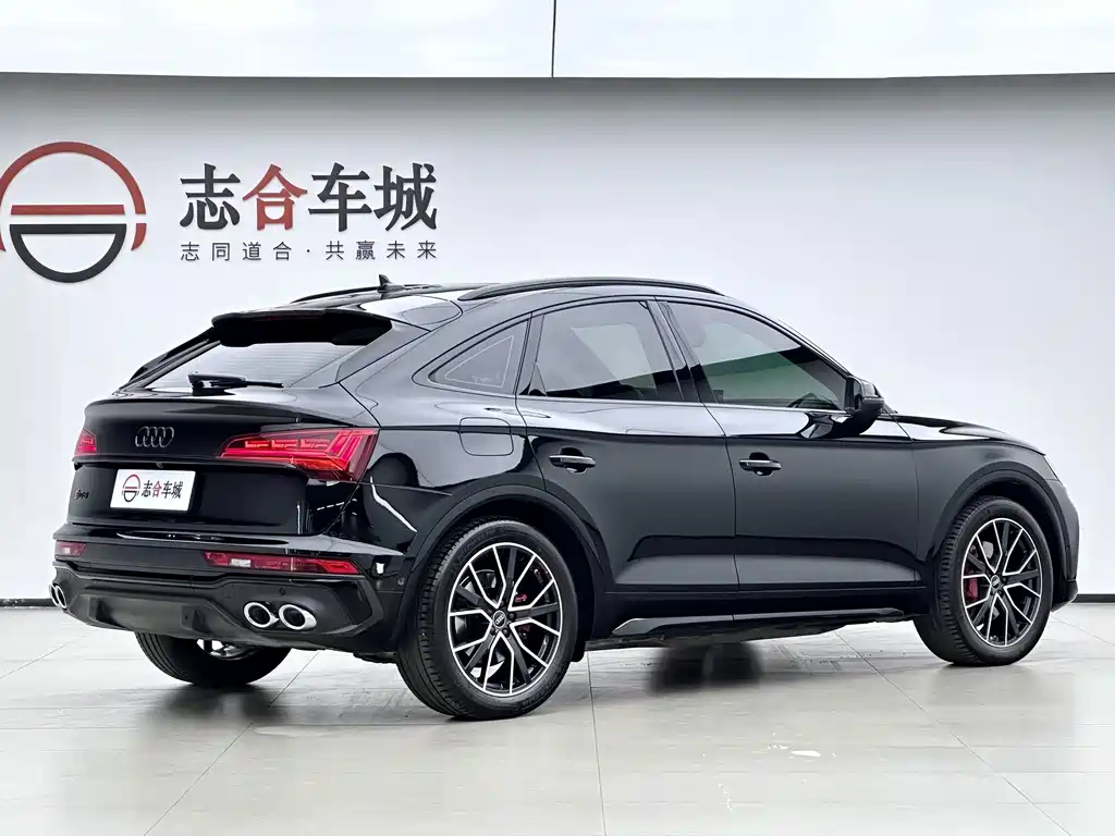 Audi SQ5 — фото 4