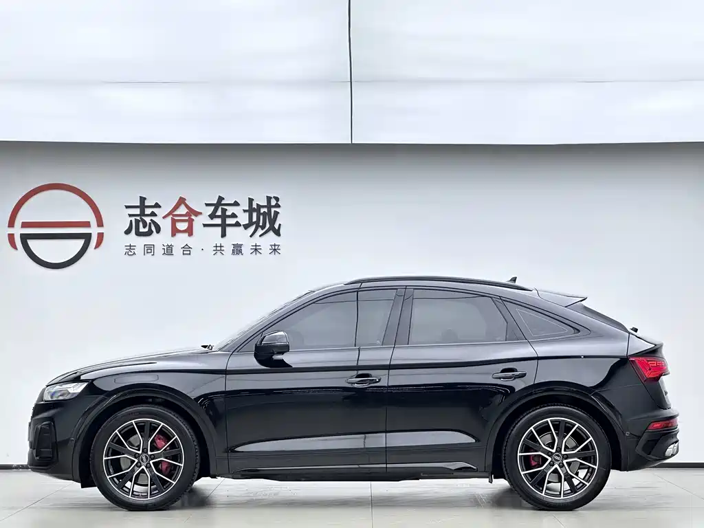 Audi SQ5 — фото 9