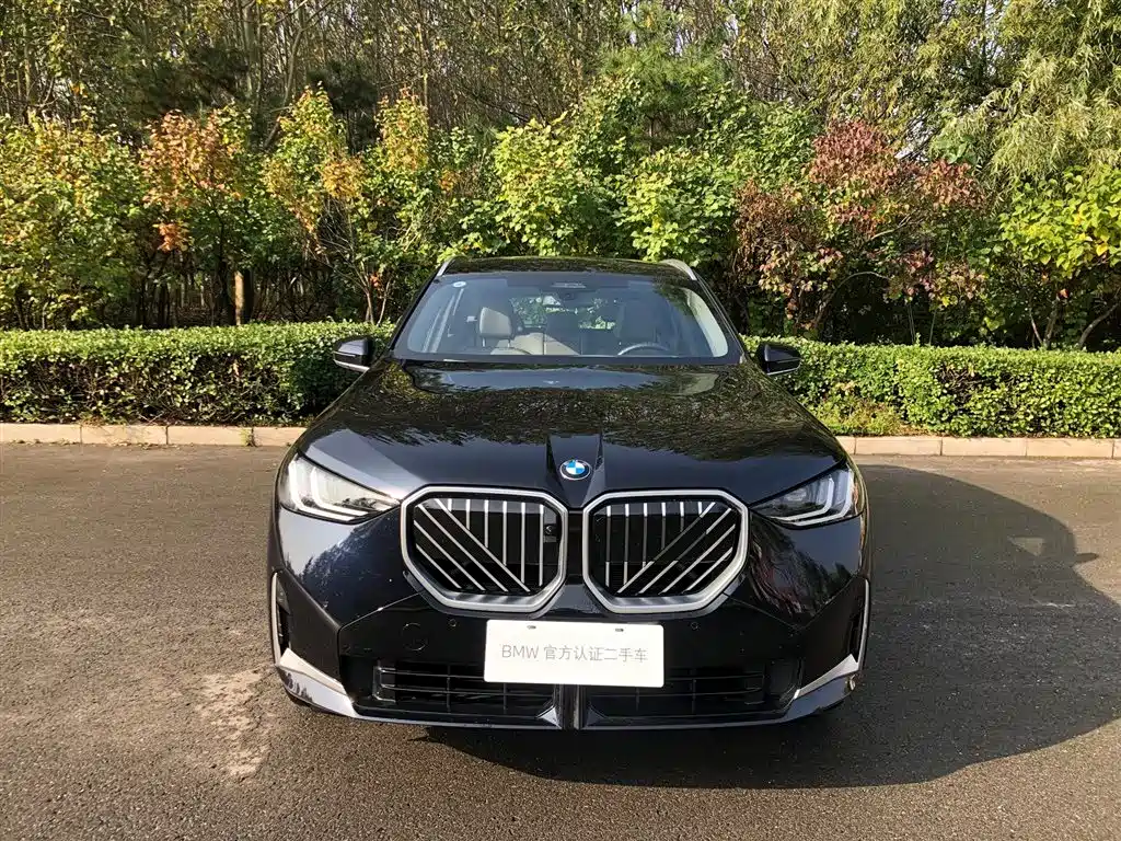 BMW X3 — фото 2