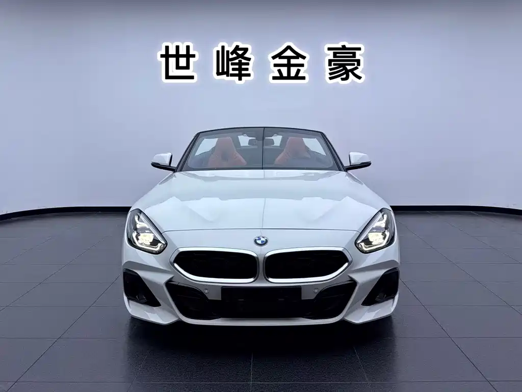 BMW Z4 — фото 2