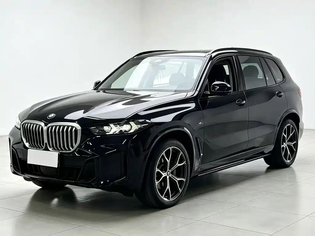 BMW X5 — фото 3