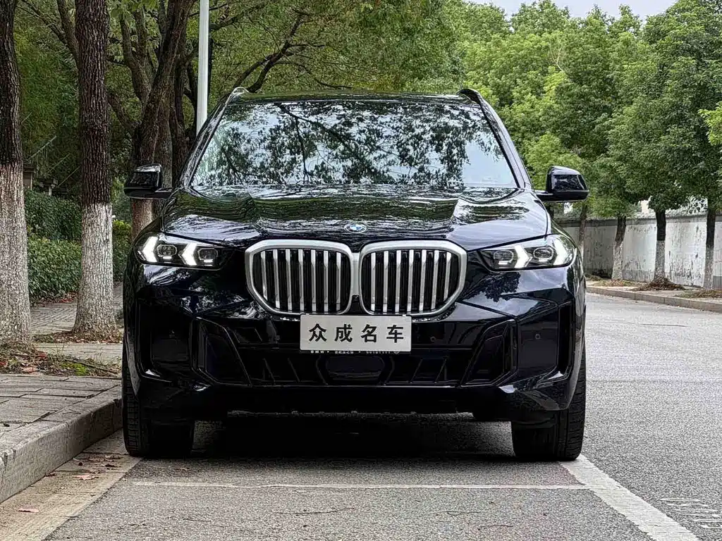 BMW X5 — фото 2