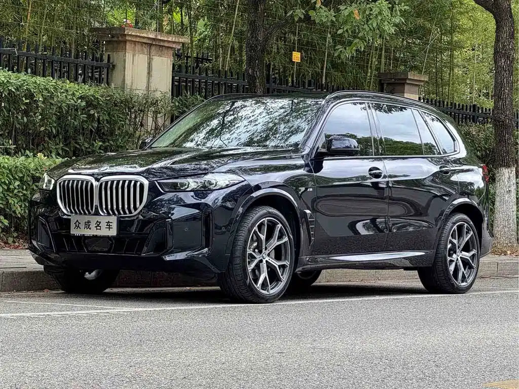 BMW X5 — фото 1