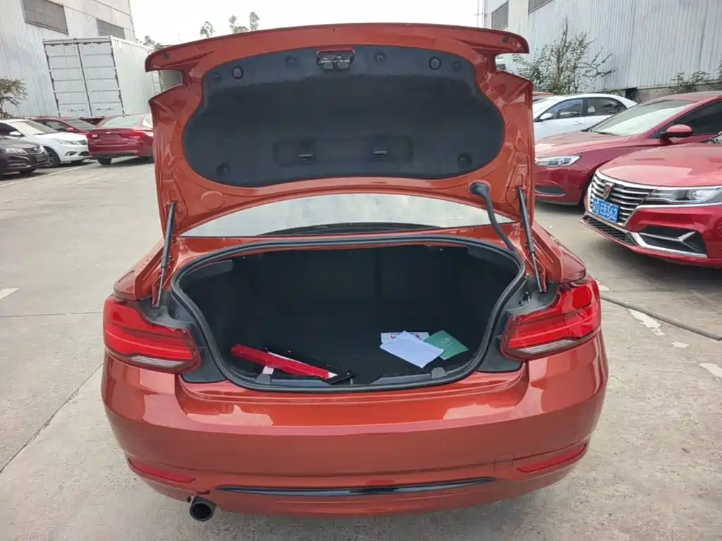 BMW 2 Series (Import) — фото 18