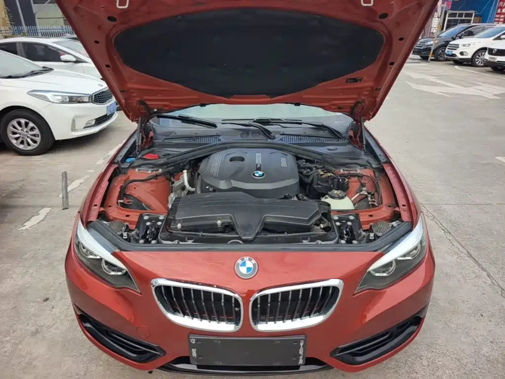 BMW 2 Series (Import) — фото 19