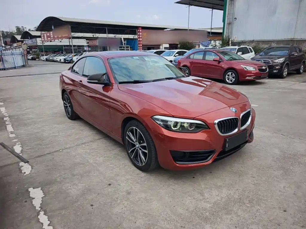 BMW 2 Series (Import) — фото 3