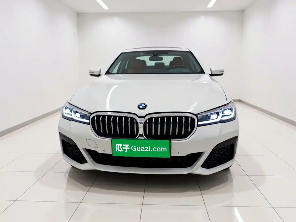 BMW 5 Series New Energy — фото 2
