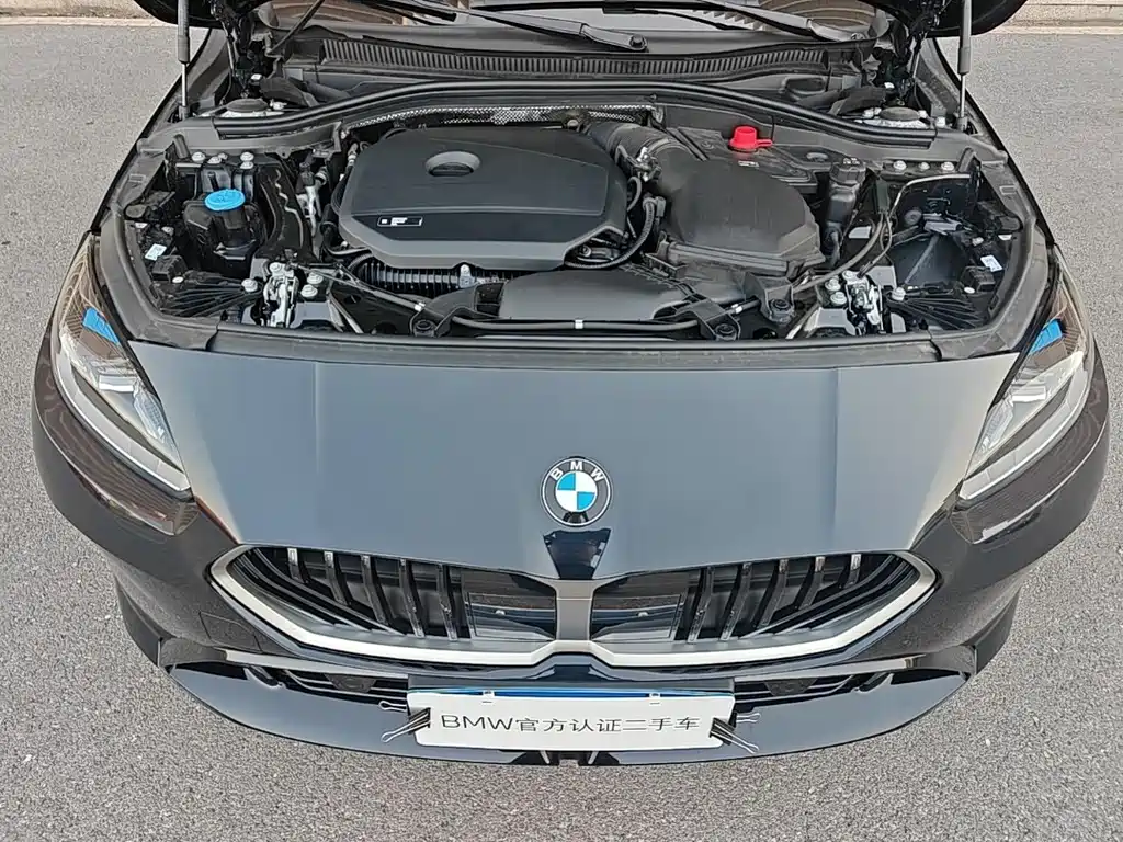 BMW 2 Series — фото 9