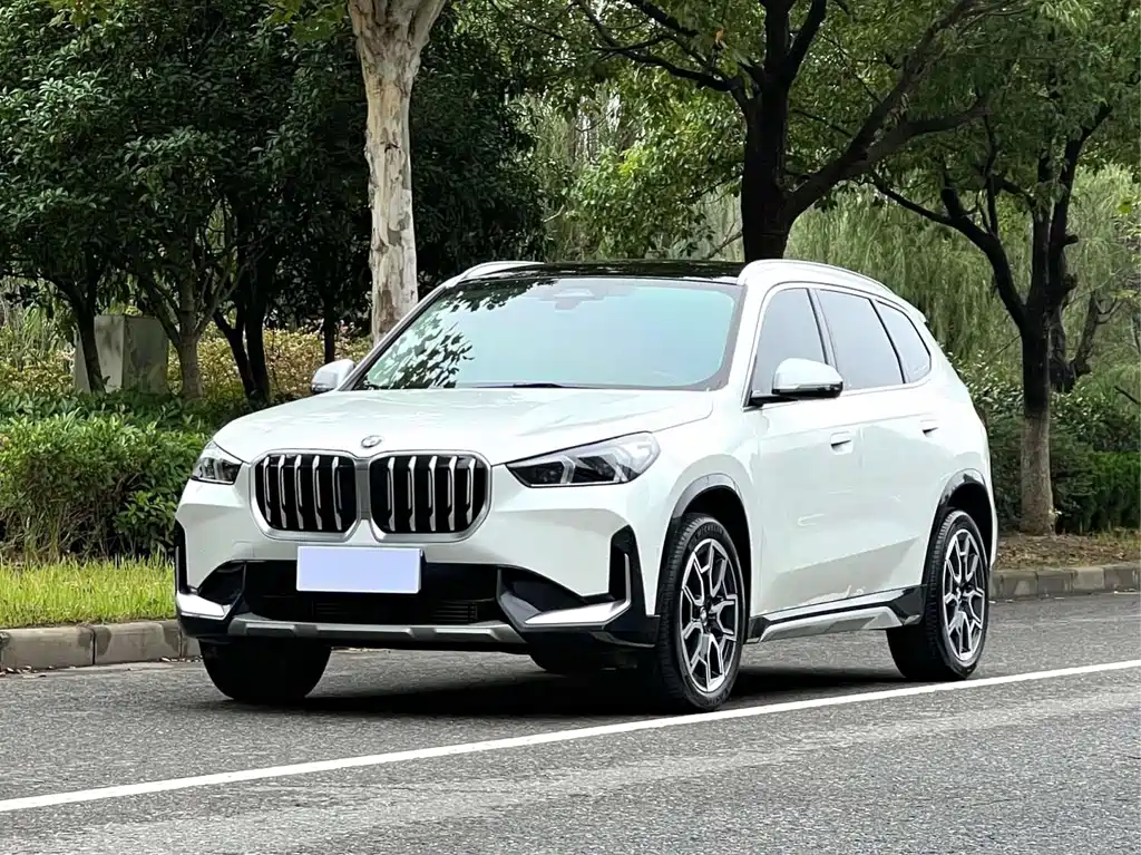 BMW X1 — фото 1
