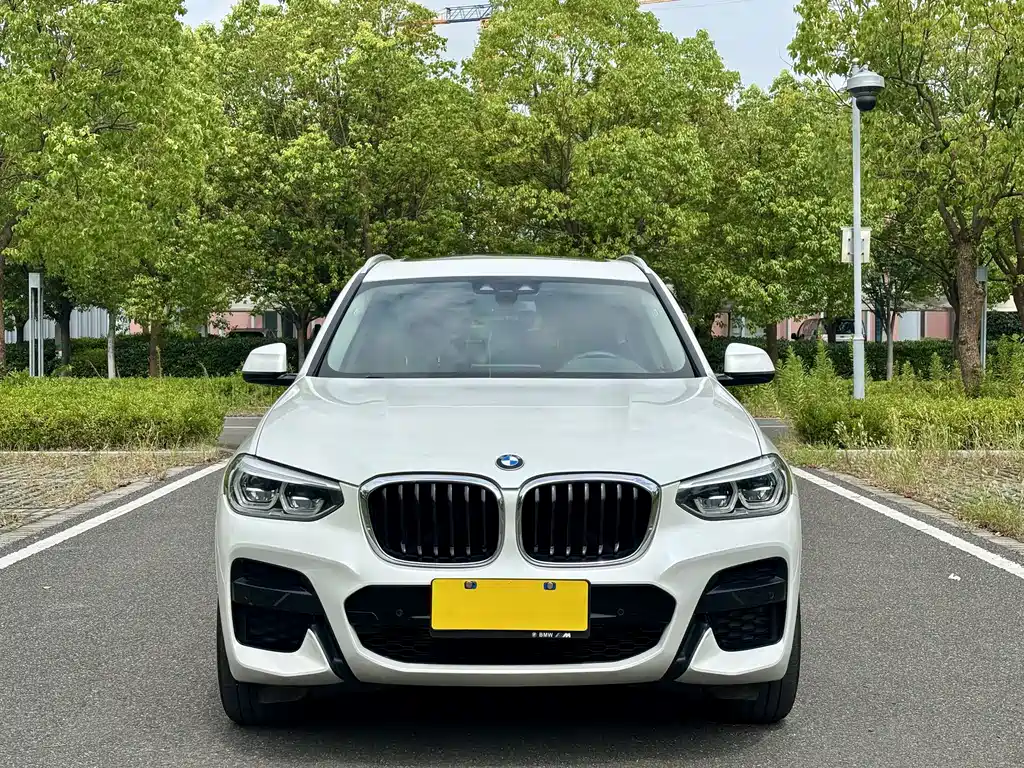 BMW X3 — фото 2