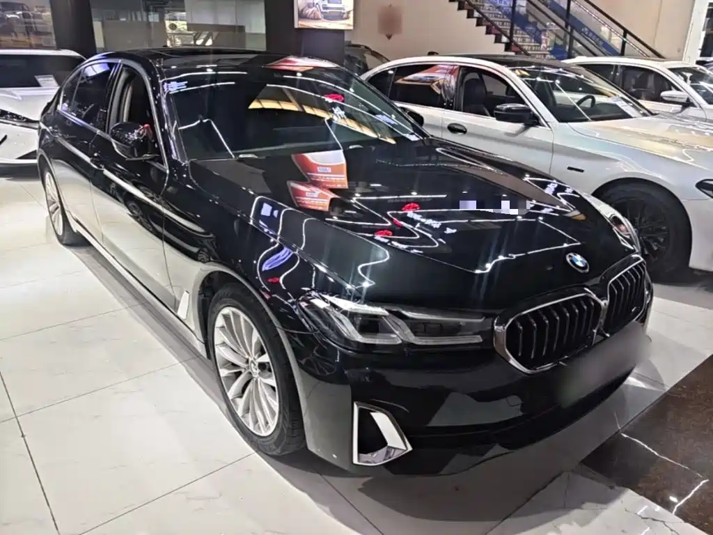 BMW 5 Series New Energy — фото 3
