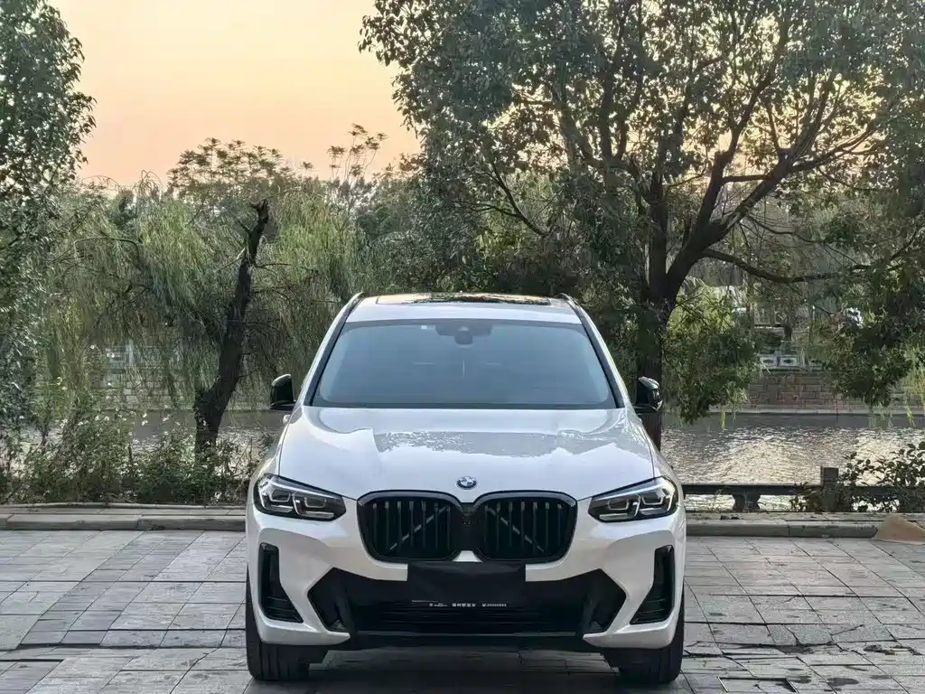 BMW X3 — фото 2