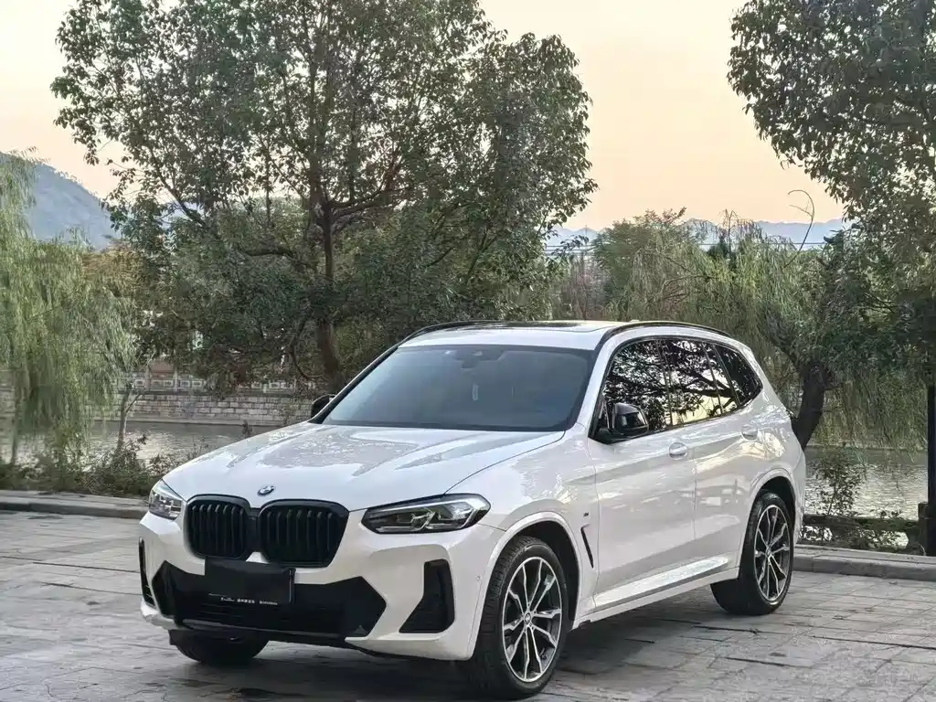 BMW X3 — фото 1