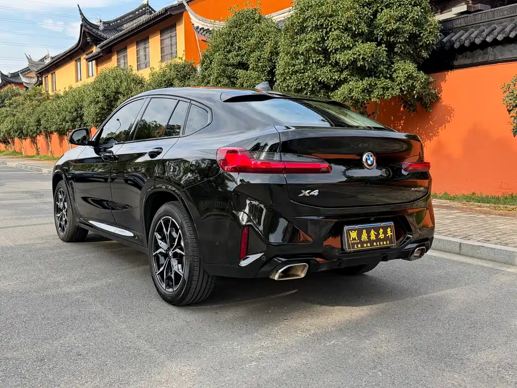 BMW X4 — фото 6