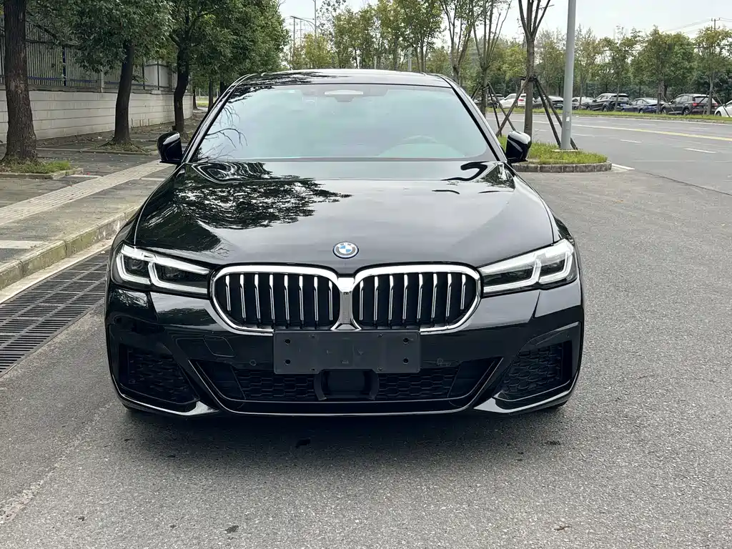 BMW 5 Series New Energy — фото 2