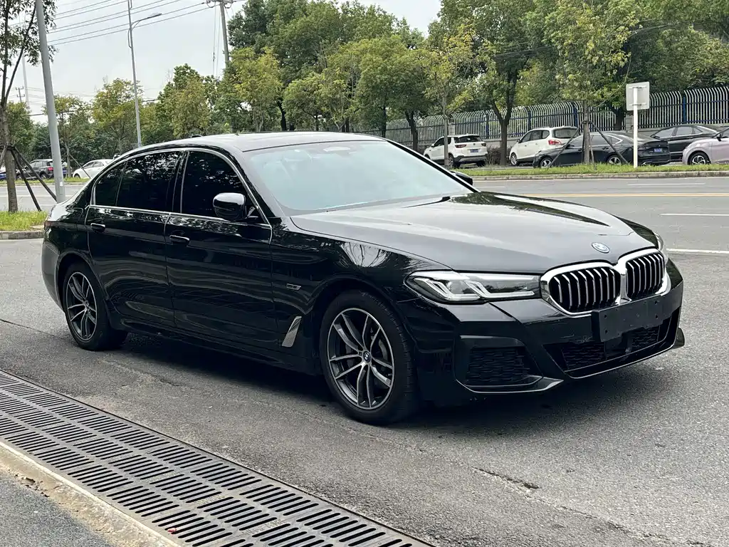 BMW 5 Series New Energy — фото 3