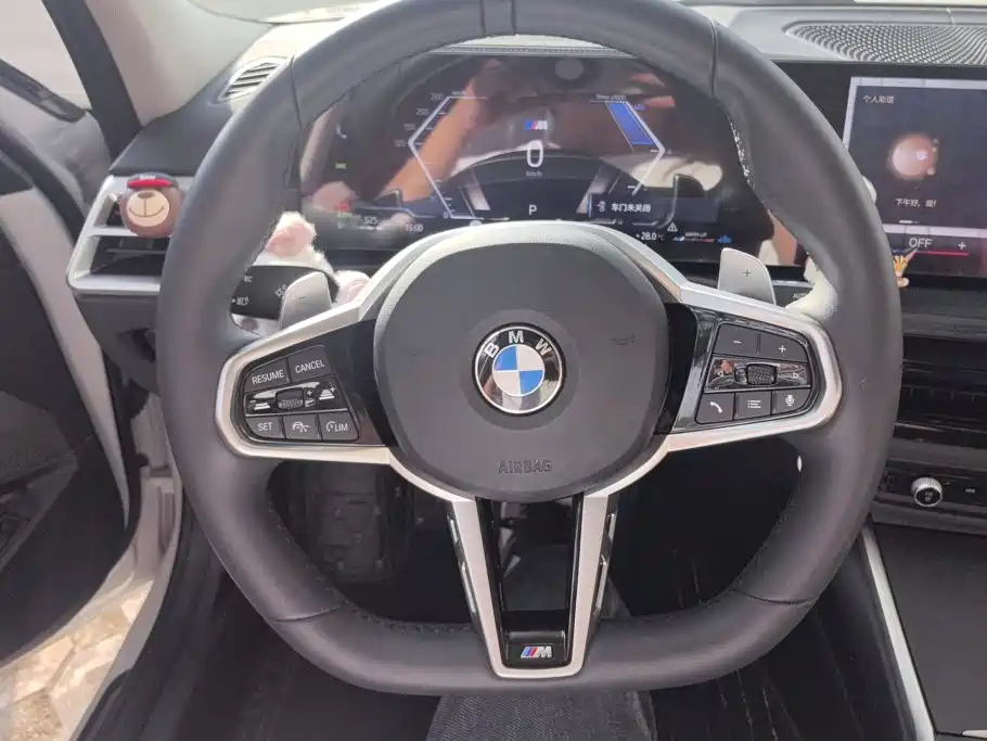 BMW 3 Series — фото 15