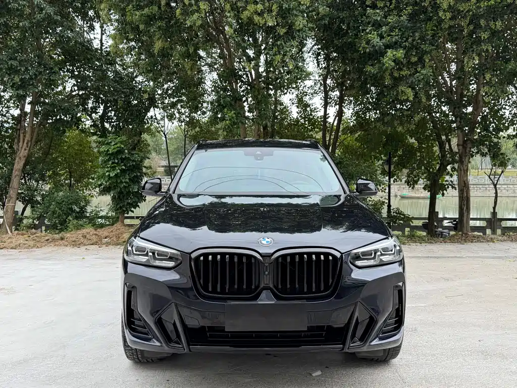 BMW X3 — фото 2