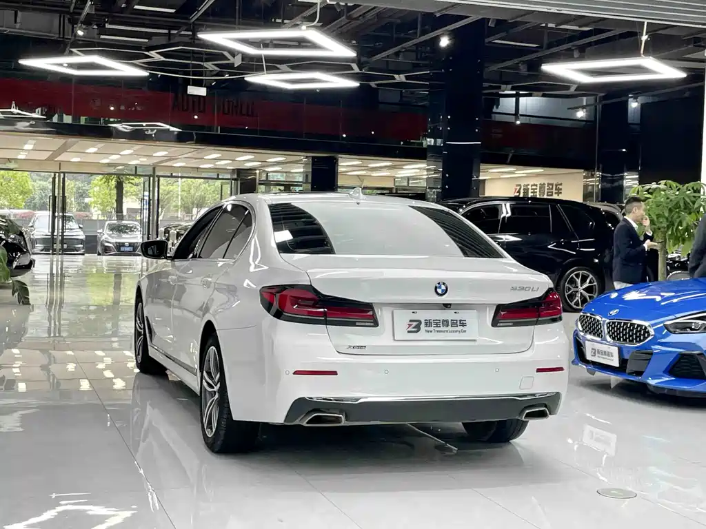 BMW 5 Series — фото 10