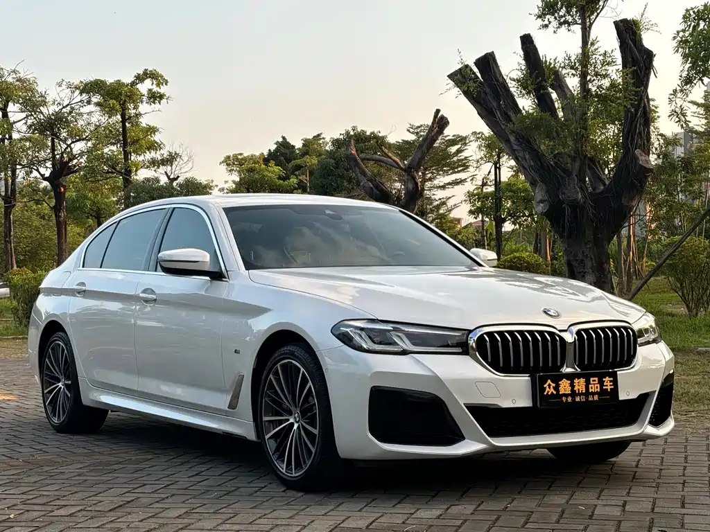 BMW 5 Series — фото 3