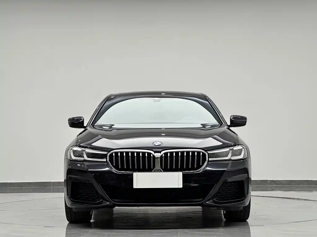 BMW 5 Series — фото 3