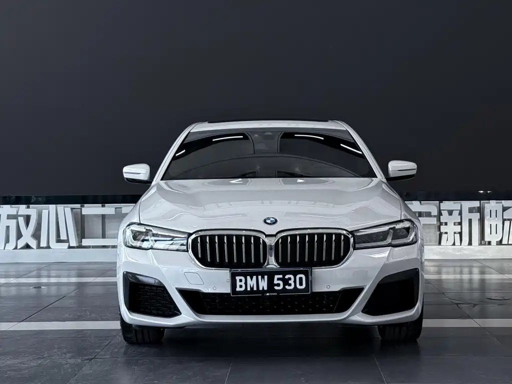 BMW 5 Series — фото 2