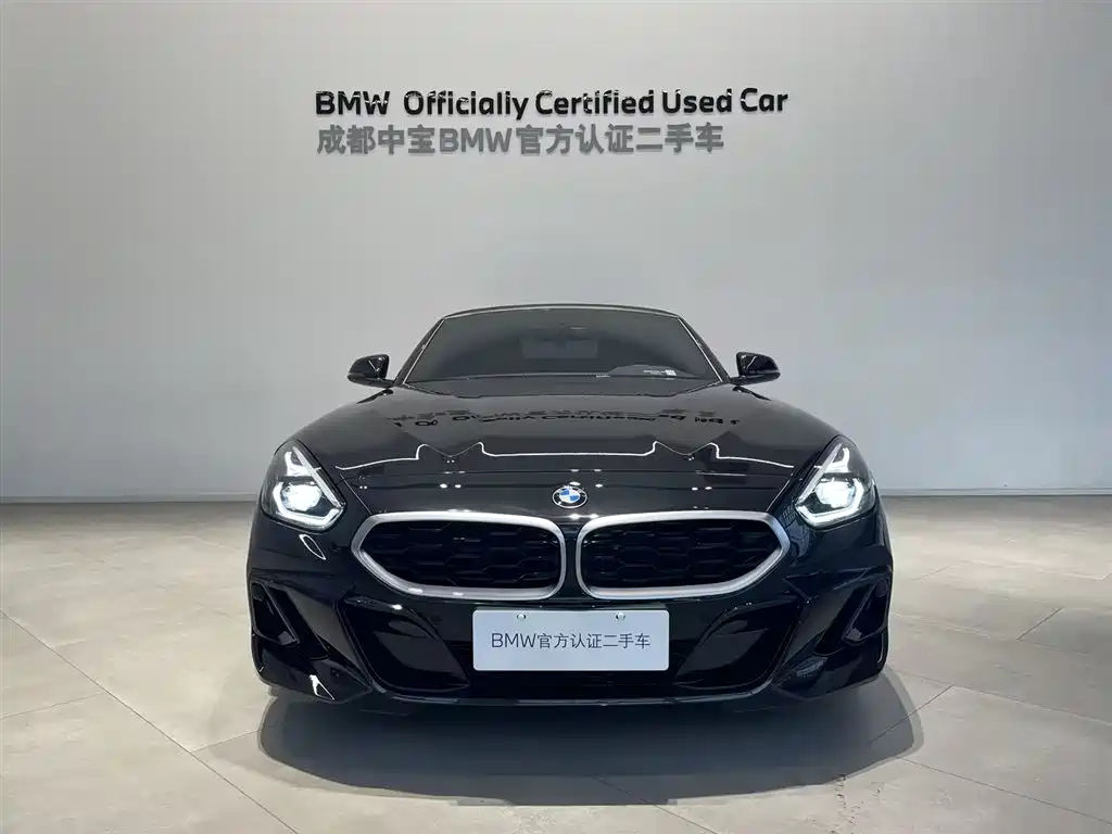 BMW Z4 — фото 10