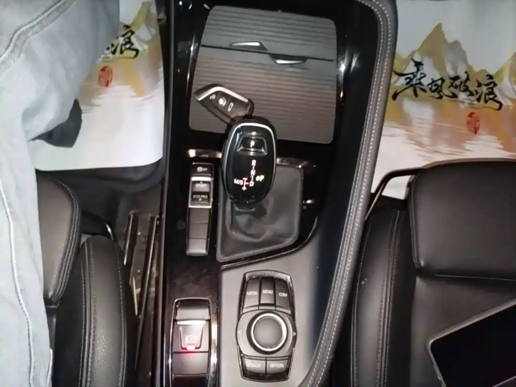 BMW X2 (Import) — фото 13
