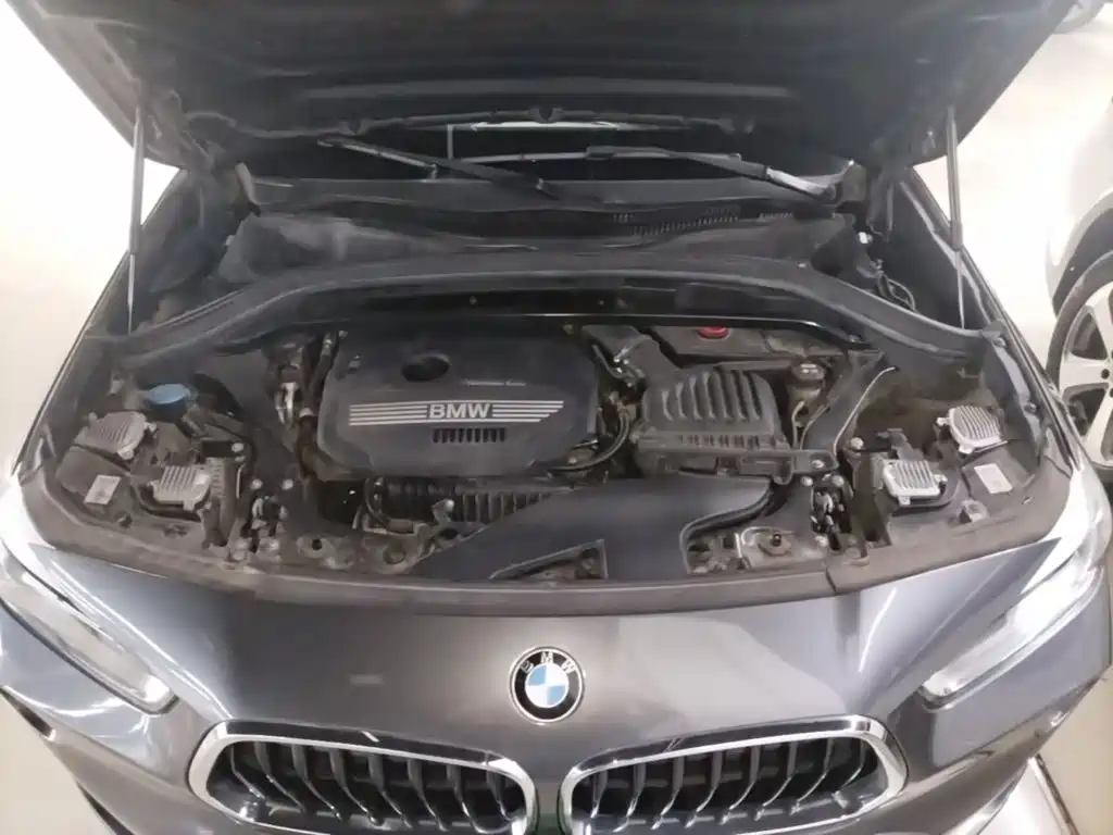 BMW X2 (Import) — фото 19