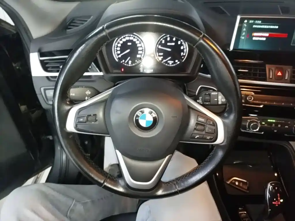 BMW X2 (Import) — фото 10
